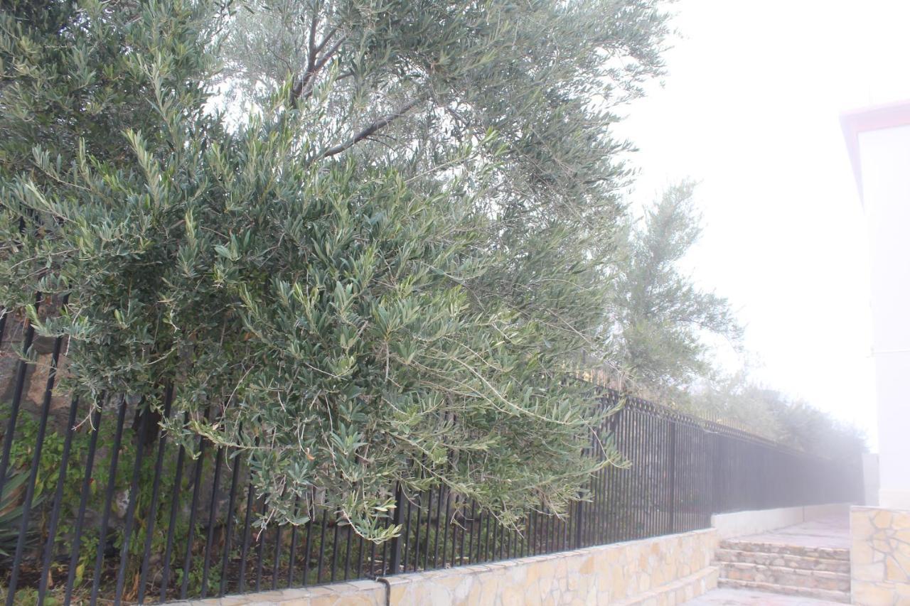 Asas Al Jabal Al Akhdar Apartments شقق أساس الجبل الأخضر Sayq Esterno foto